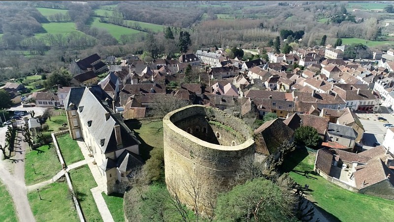 tour-sarrasine-saint-sauveur-en-puisaye (2)