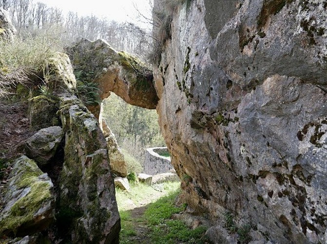 PARC DU CHÂTEAU D'ORBIGNY