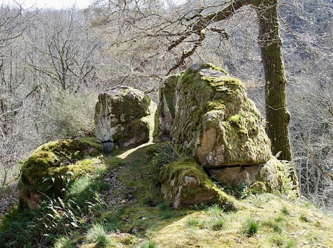 PARC DU CHÂTEAU D'ORBIGNY