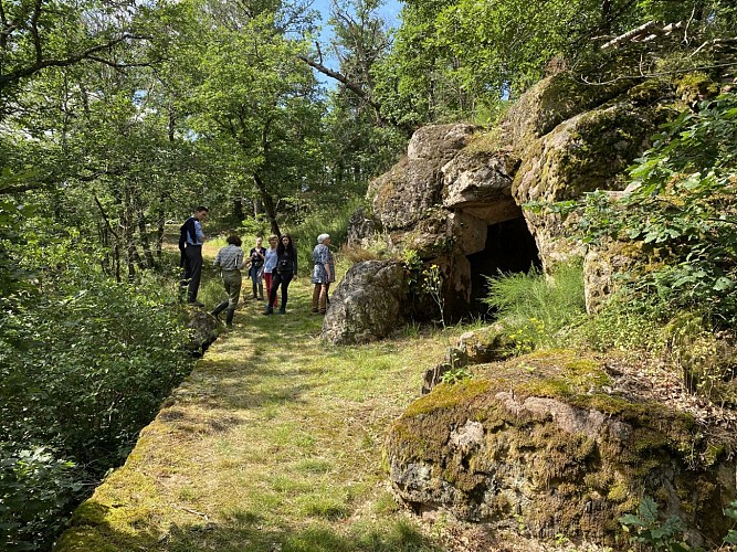PARC DU CHÂTEAU D'ORBIGNY