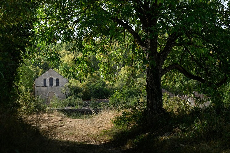 Accès vers La Cordelle - Chemin de Compostelle