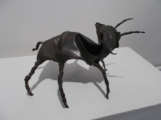 CENTRE RÉGIONAL D'ART CONTEMPORAIN