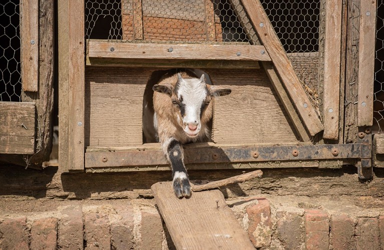 LA FERME DU CHATEAU