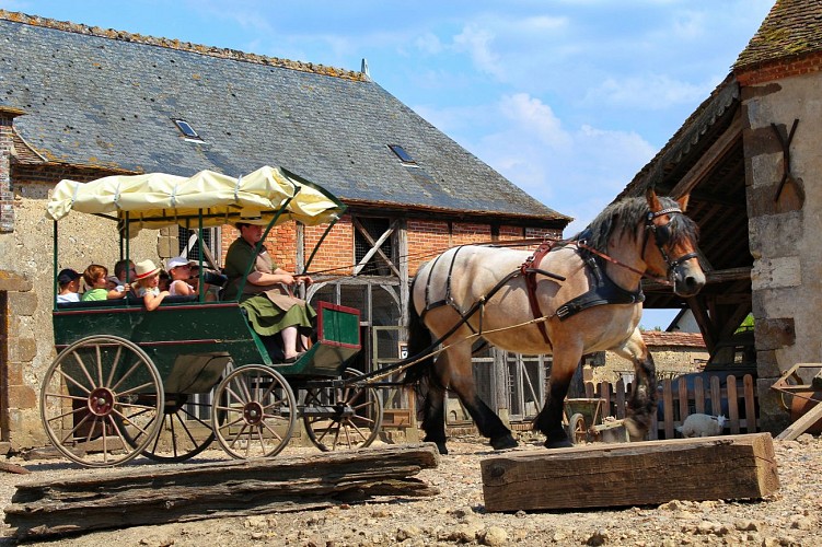 LA FERME DU CHÂTEAU