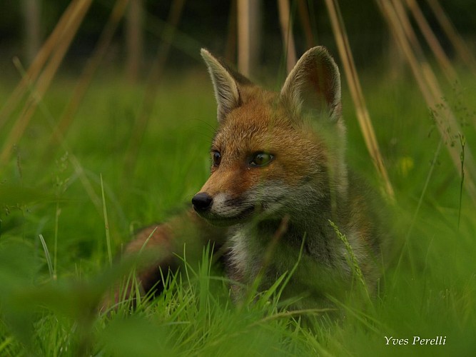 LA FERME DU MOULIN DE VANNEAU