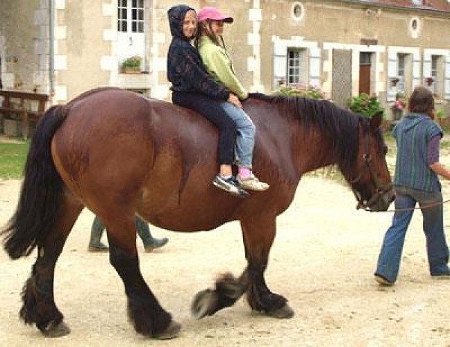 LA FERME DU MOULIN DE VANNEAU
