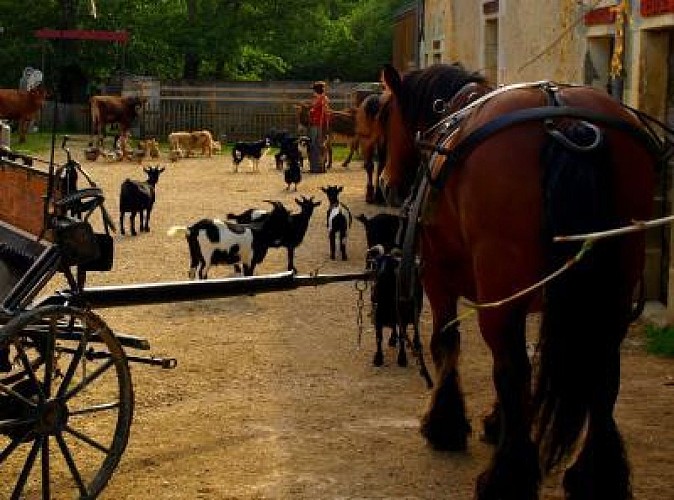 LA FERME DU MOULIN DE VANNEAU
