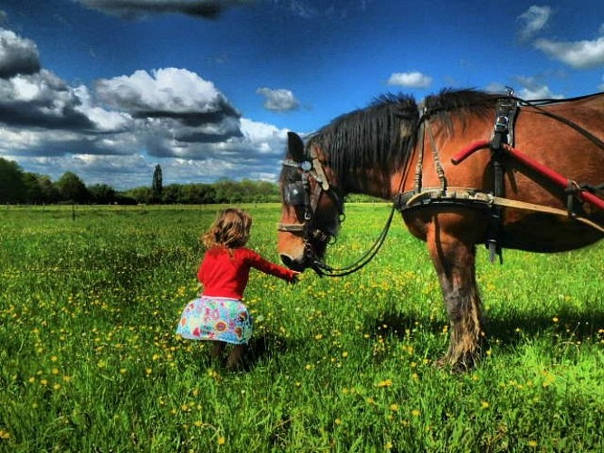 L'enfant et le cheval