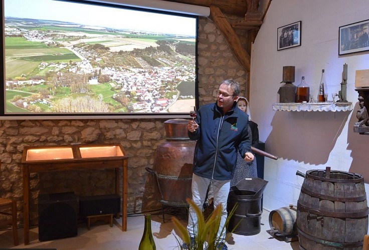 film domaine thibaut