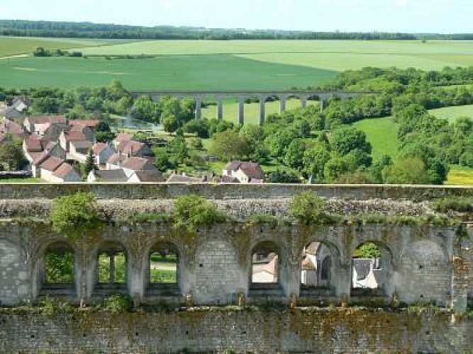 CHÂTEAU-FORT DES COMTES D'AUXERRE ET DE NEVERS