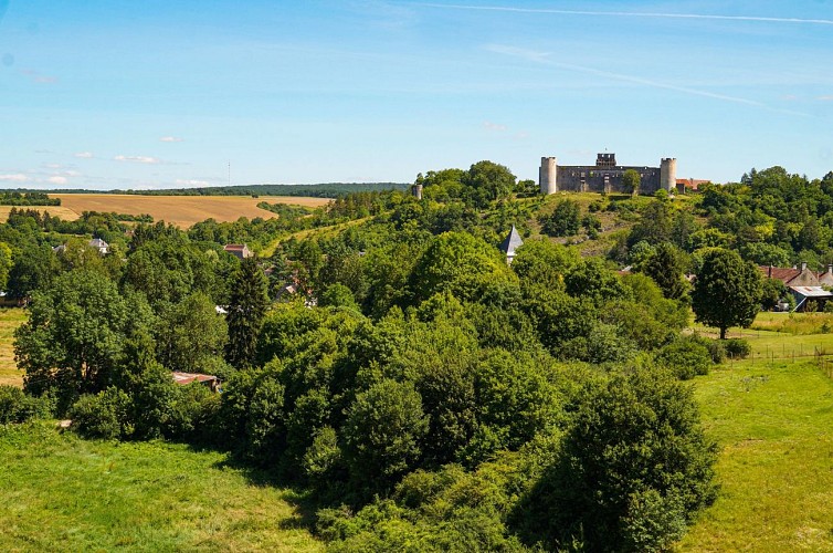 CHÂTEAU-FORT DES COMTES D'AUXERRE ET DE NEVERS