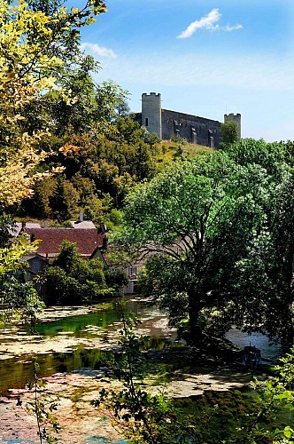 CHÂTEAU-FORT DES COMTES D'AUXERRE ET DE NEVERS