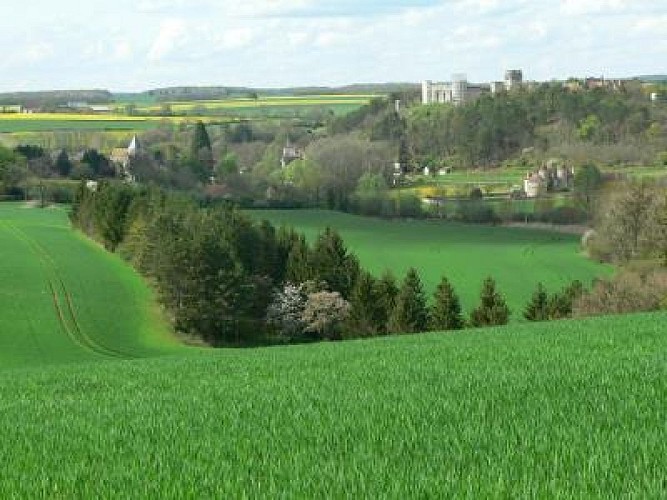 CHÂTEAU-FORT DES COMTES D'AUXERRE ET DE NEVERS