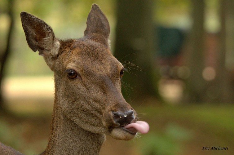 PARC NATUREL DE BOUTISSAINT