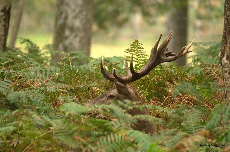 PARC NATUREL DE BOUTISSAINT
