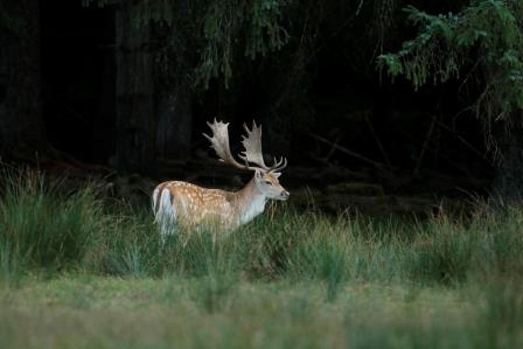 PARC NATUREL DE BOUTISSAINT