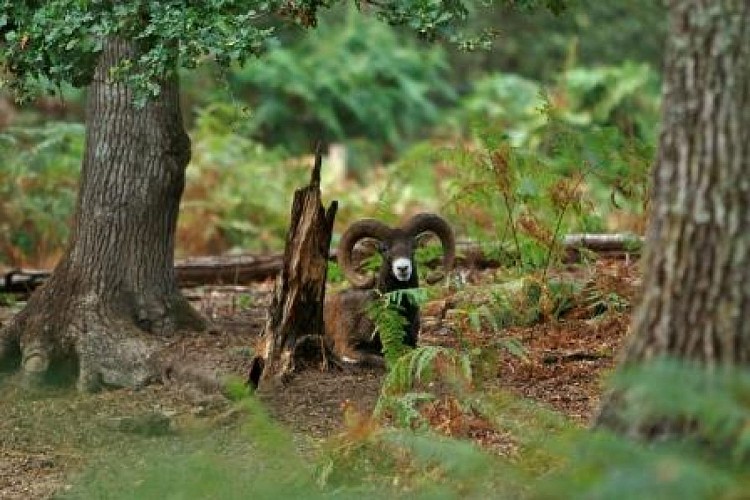 PARC NATUREL DE BOUTISSAINT