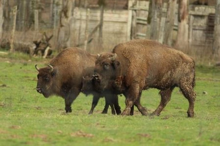 PARC NATUREL DE BOUTISSAINT