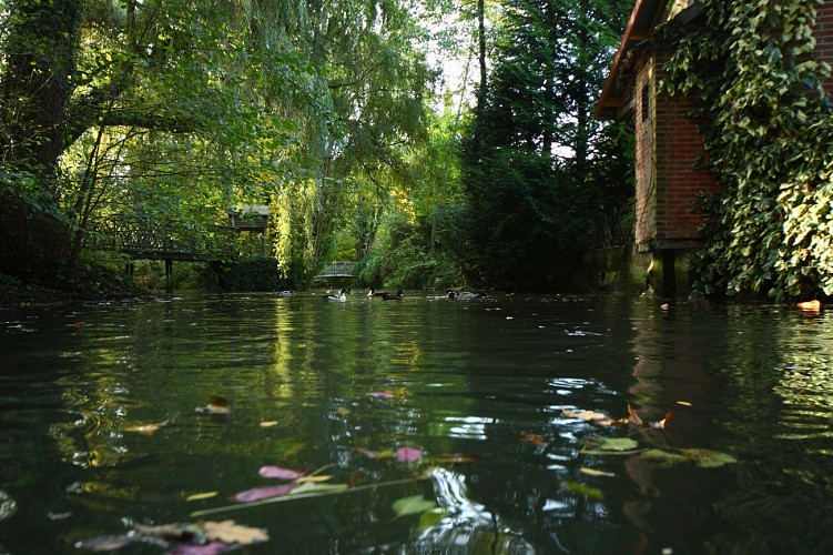 PARC DU MOULIN À TAN ET SERRES DE COLLECTIONS TROPICALES