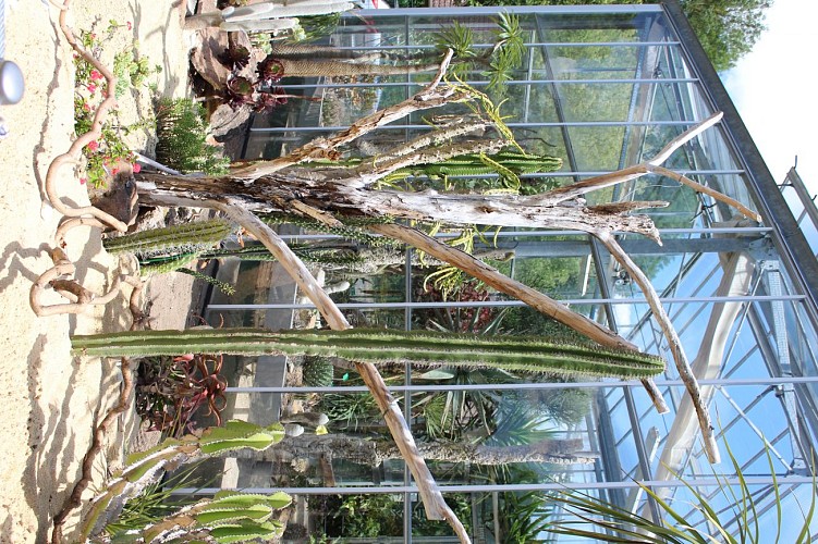 PARC DU MOULIN À TAN ET SERRES DE COLLECTIONS TROPICALES