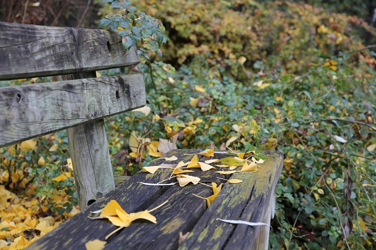 PARC DU MOULIN À TAN ET SERRES DE COLLECTIONS TROPICALES