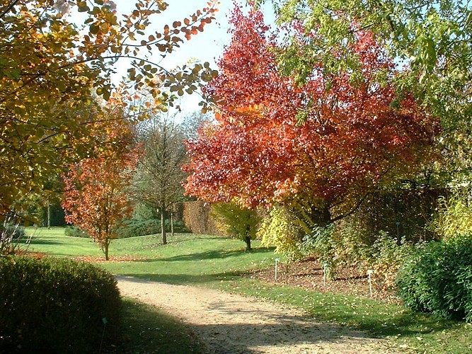 PARC DU MOULIN À TAN ET SERRES DE COLLECTIONS TROPICALES