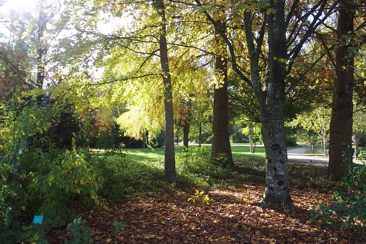 PARC DU MOULIN À TAN ET SERRES DE COLLECTIONS TROPICALES