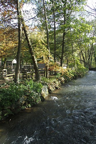 PARC DU MOULIN À TAN ET SERRES DE COLLECTIONS TROPICALES