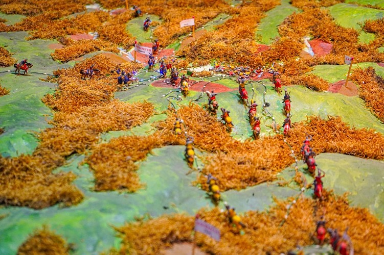 MUSÉE DE LA BATAILLE DE FONTENOY
