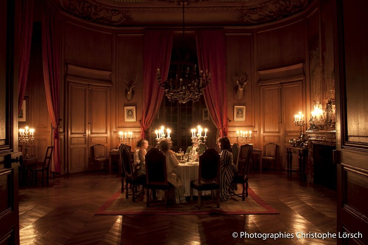 Château de Saint Fargeau
