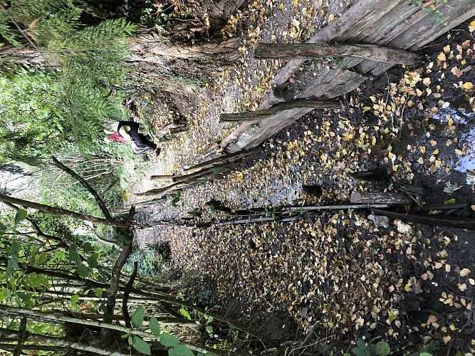 LE JARDIN DU PRIEURÉ