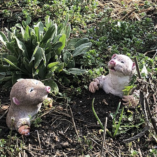 LE JARDIN DU PRIEURÉ