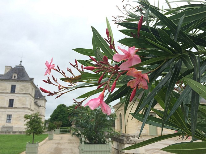 Château d'Ancy le Franc parterre Nord