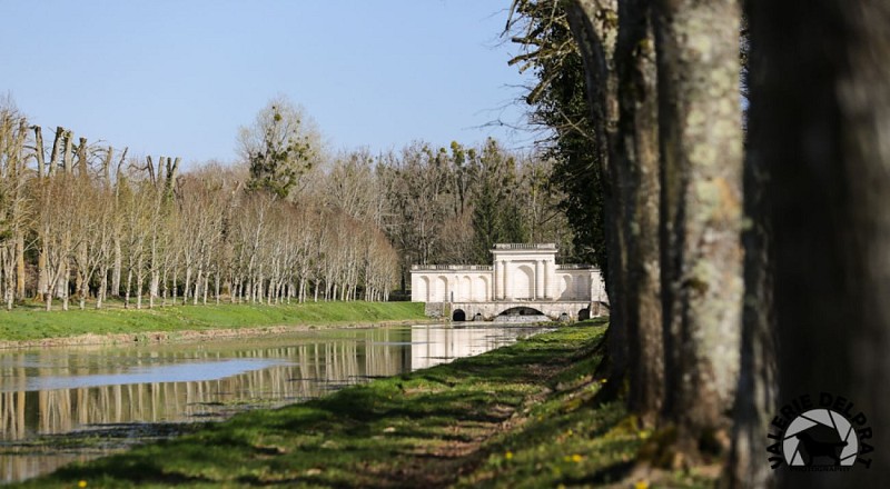 PARC DU CHÂTEAU DE TANLAY