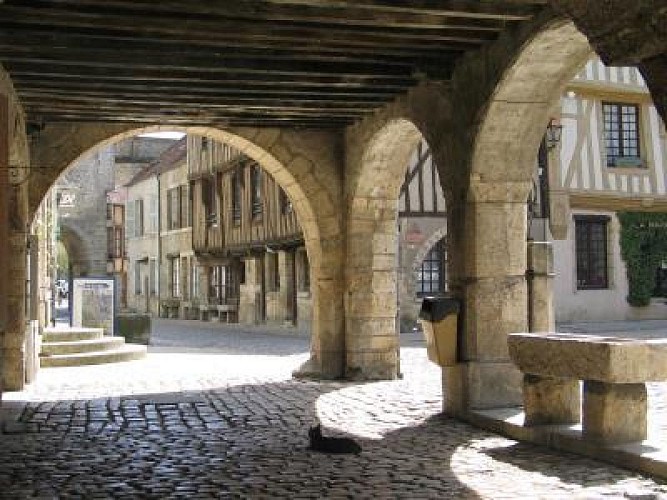 VILLAGE MÉDIÉVAL DE NOYERS-SUR-SEREIN