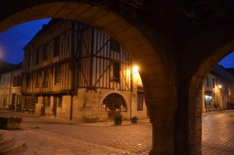 VILLAGE MÉDIÉVAL DE NOYERS-SUR-SEREIN