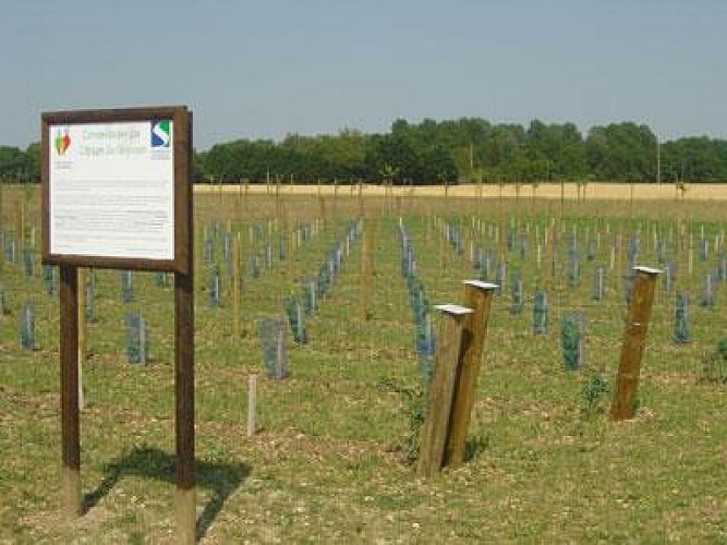 PARC CHAMPÊTRE DES CHAMPS-CAPTANTS