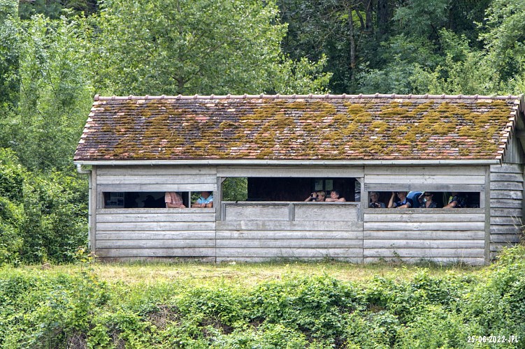 Les visiteurs profitent des observatoires pour observer sans gêner la faune