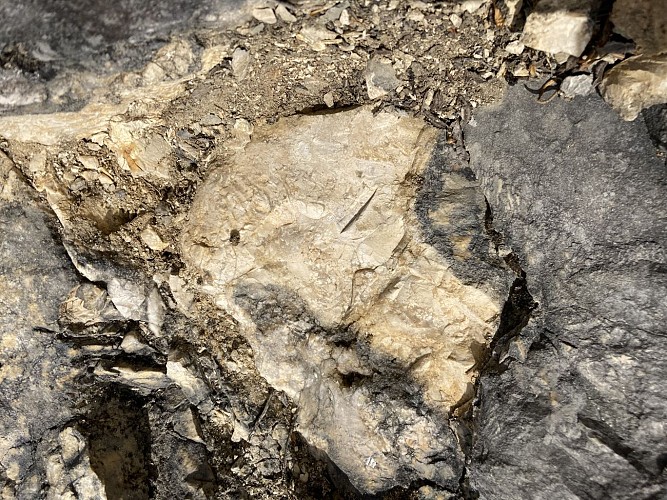 Réserve Naturelle du Bois du Parc