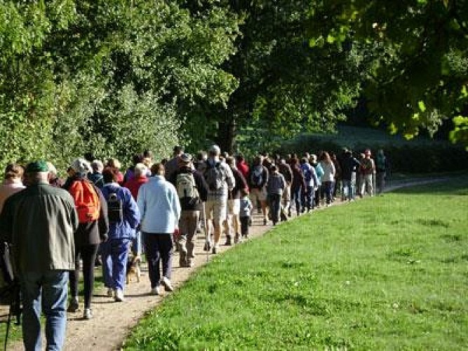 LA CHÂTAIGNERAIE PARLYCOISE