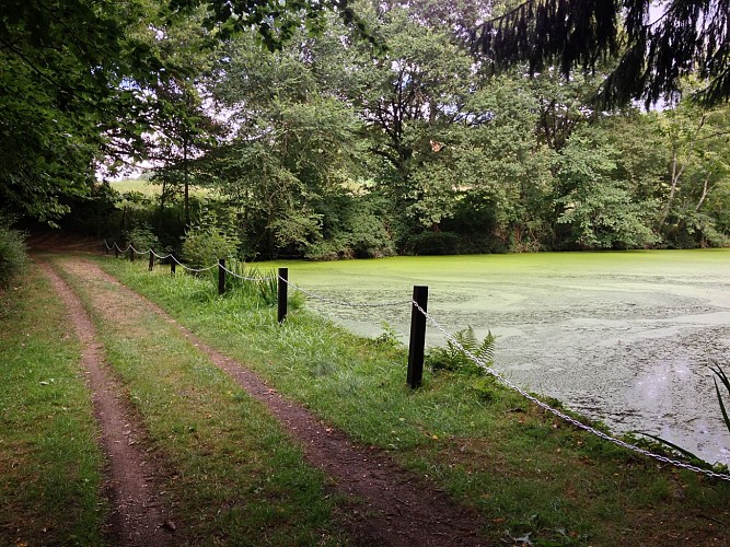 PARC DU CHÂTEAU DE CHASTELLUX