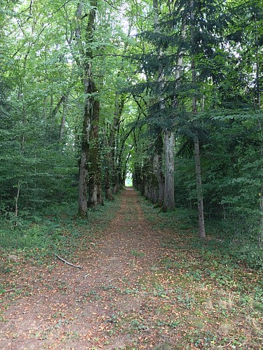 PARC DU CHÂTEAU DE CHASTELLUX