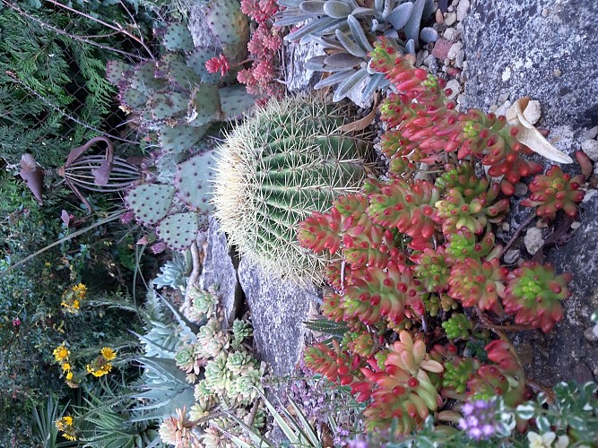 JARDIN DES PETITS PRÉS