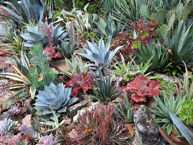 JARDIN DES PETITS PRÉS