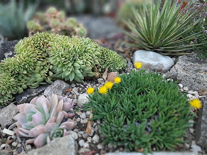 JARDIN DES PETITS PRÉS