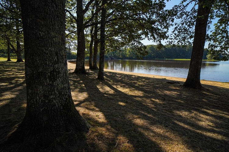 Lac du Bourdon à Saint-Fargeau en Puisaye (1)