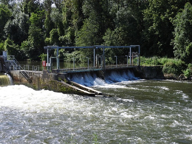 échelle à poissons