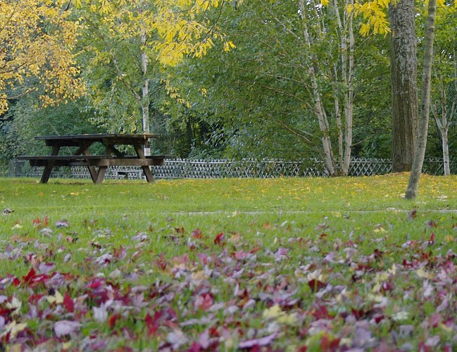 Aire de pique-nique du Parc du Moulin à Tan