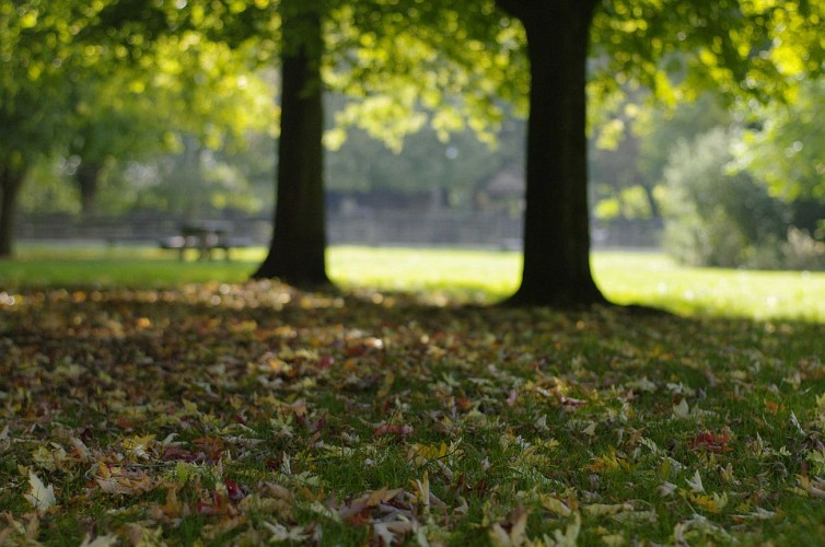 Aire de pique-nique du Parc du Moulin à Tan