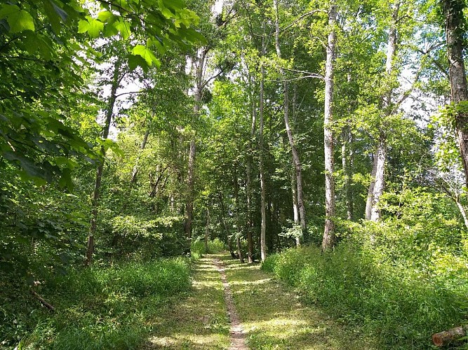 Aire Pénichettes_Accès